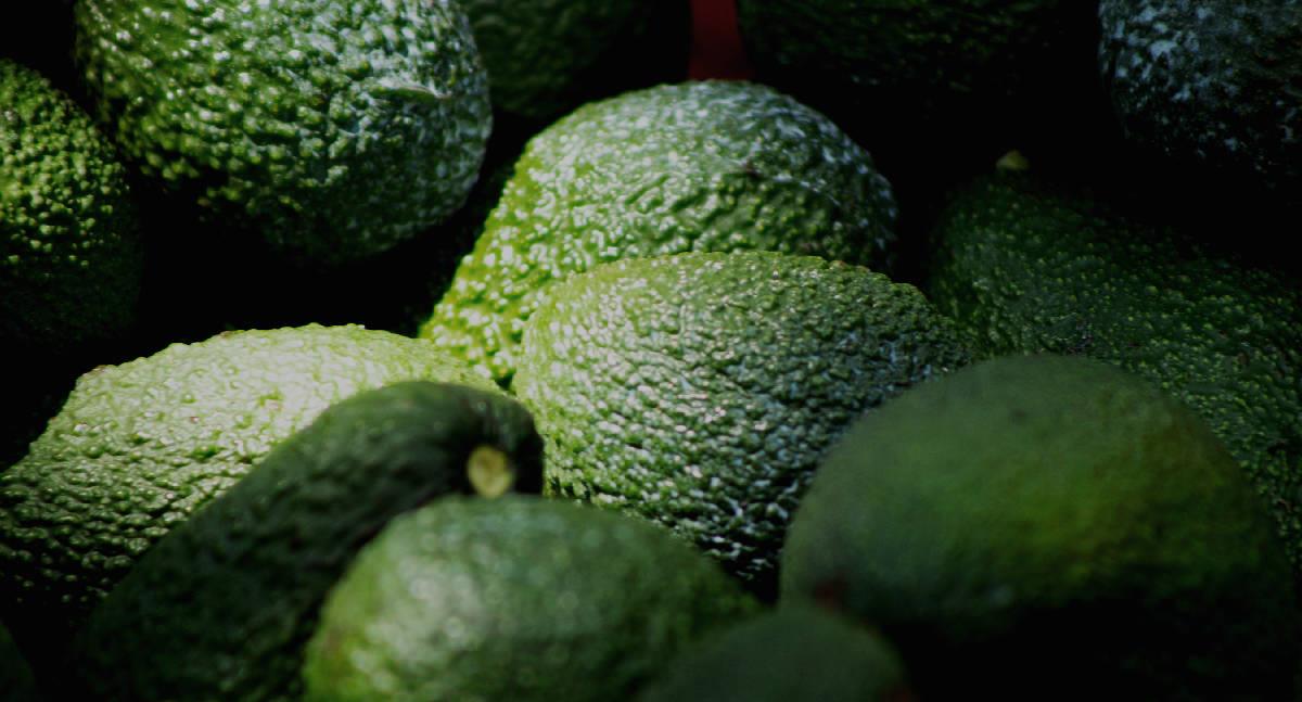 Aguacates de huertas ilegales no se exportarán a EU: Ken Salazar