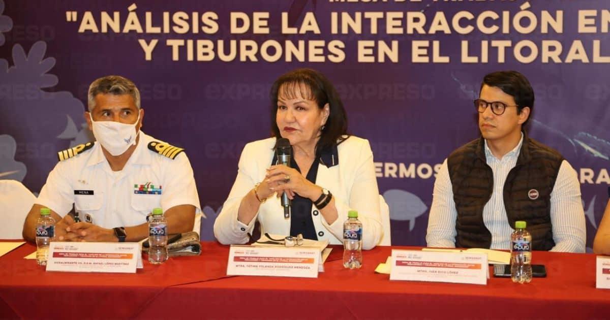 Expertos buscan soluciones ante la presencia de tiburones en Sonora