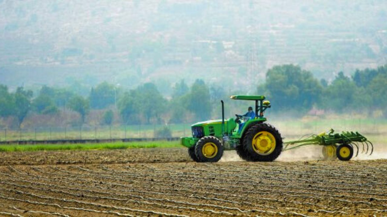 Sequía afectó la producción de cultivos de maíz, trigo y frijol: Inegi