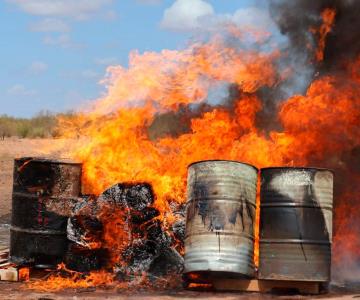 Destruyen más de 100 kilogramos de narcóticos: FGR en Sonora