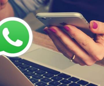 Nueva función de WhatsApp te permitirá traducir mensajes al instante