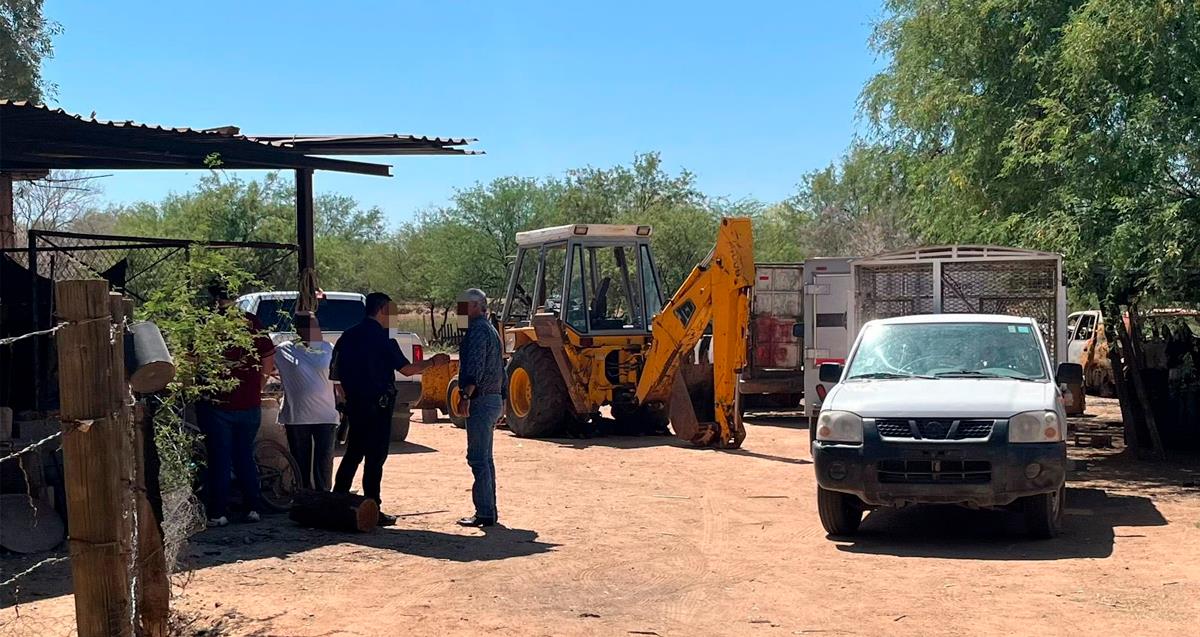 Hallan animales muertos y lesionados en predio de colonia La Manga