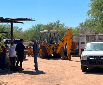 Hallan animales muertos y lesionados en predio de colonia La Manga