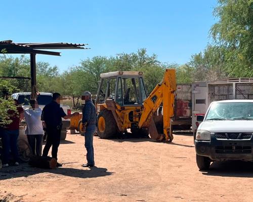 Hallan animales muertos y lesionados en predio de colonia La Manga