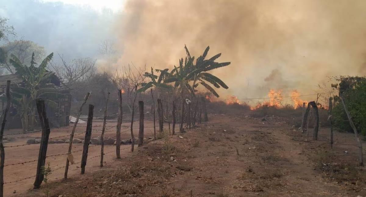 Suman 9 incendios forestales activos en municipios de Sinaloa