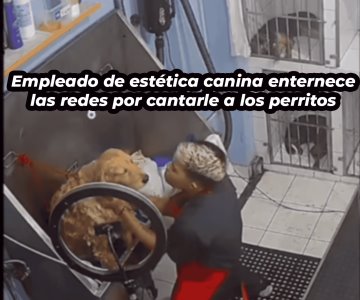 Empleado de estética canina enternece las redes por cantarle a los perritos