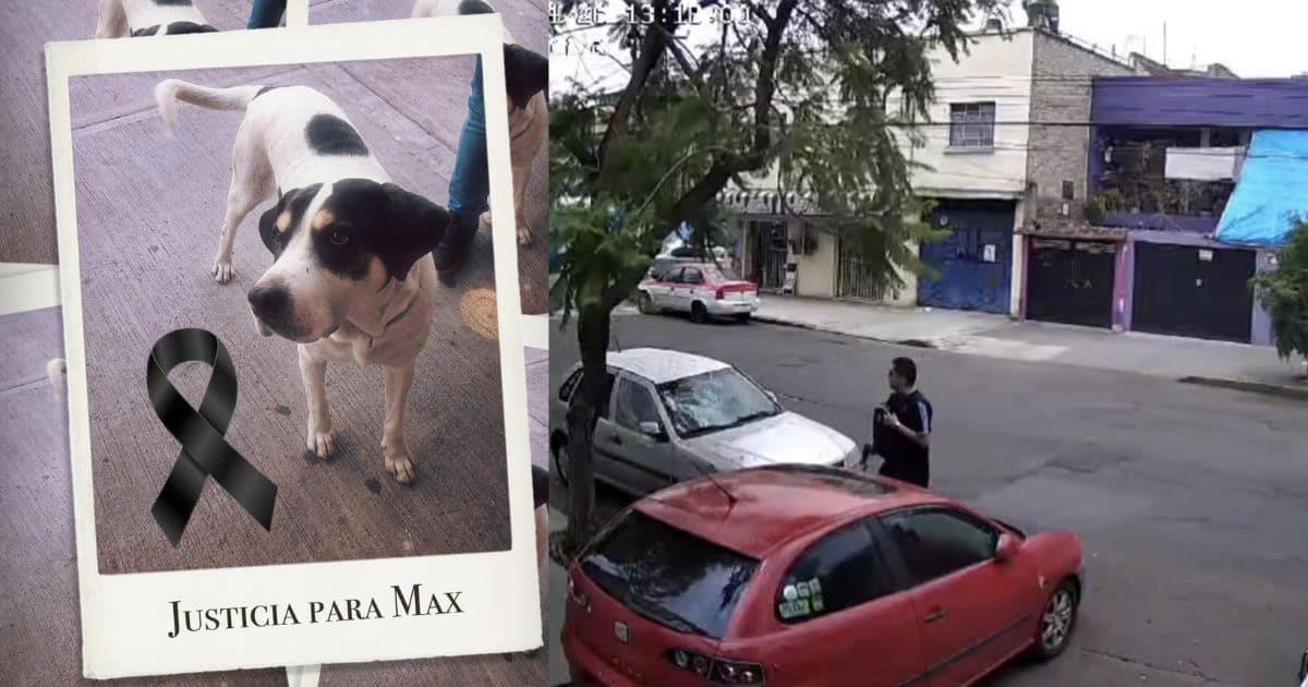 Liberan a presunto agresor de Max, perro asesinado a balazos en la CDMX