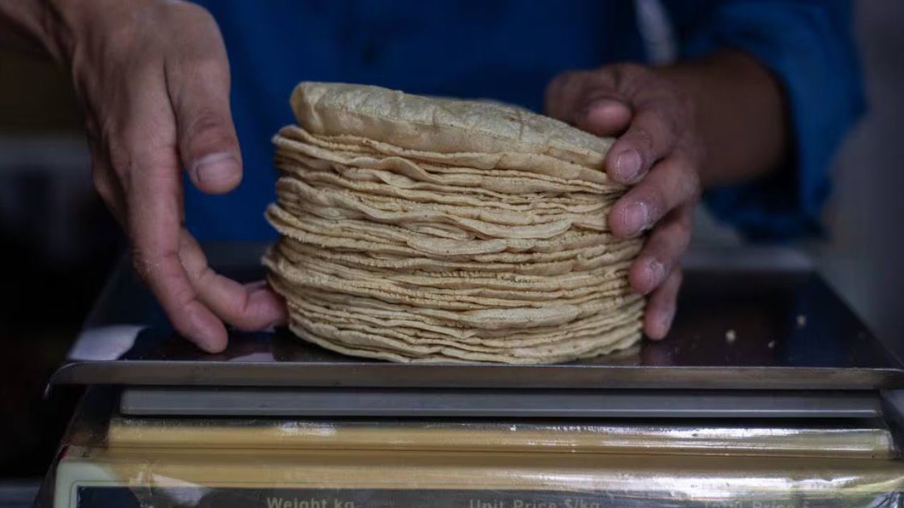 Precio de la tortilla baja por primera vez en el año en Hermosillo