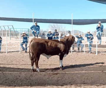 Egresa primera generación de Especialidad en Actividades Pecuarias de la UGRS