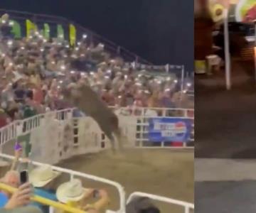 Toro salta valla durante rodeo y lesiona a varias personas