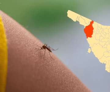 Van 8 casos de dengue registrados en el estado