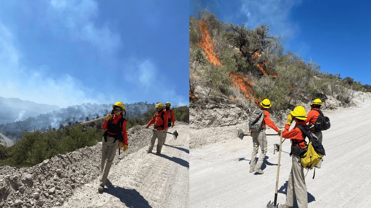 Liquidan incendios forestales en Ímuris