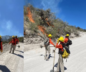 Liquidan incendios forestales en Ímuris