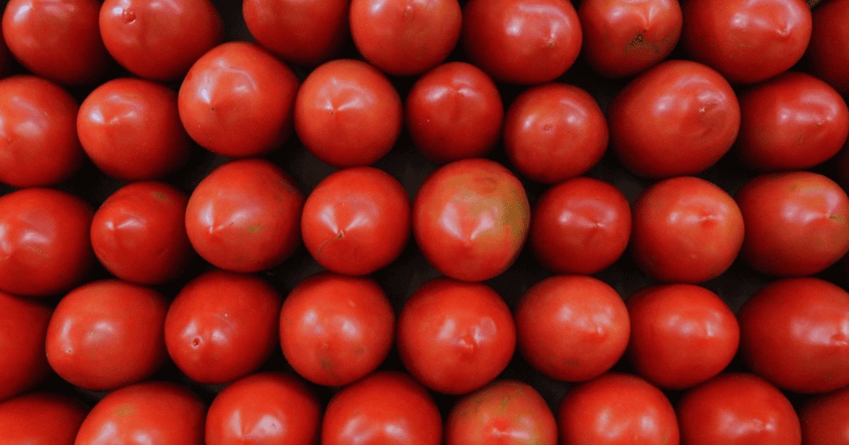 Liberan al tomate mexicano de certificación sanitaria en EU tras 4 años