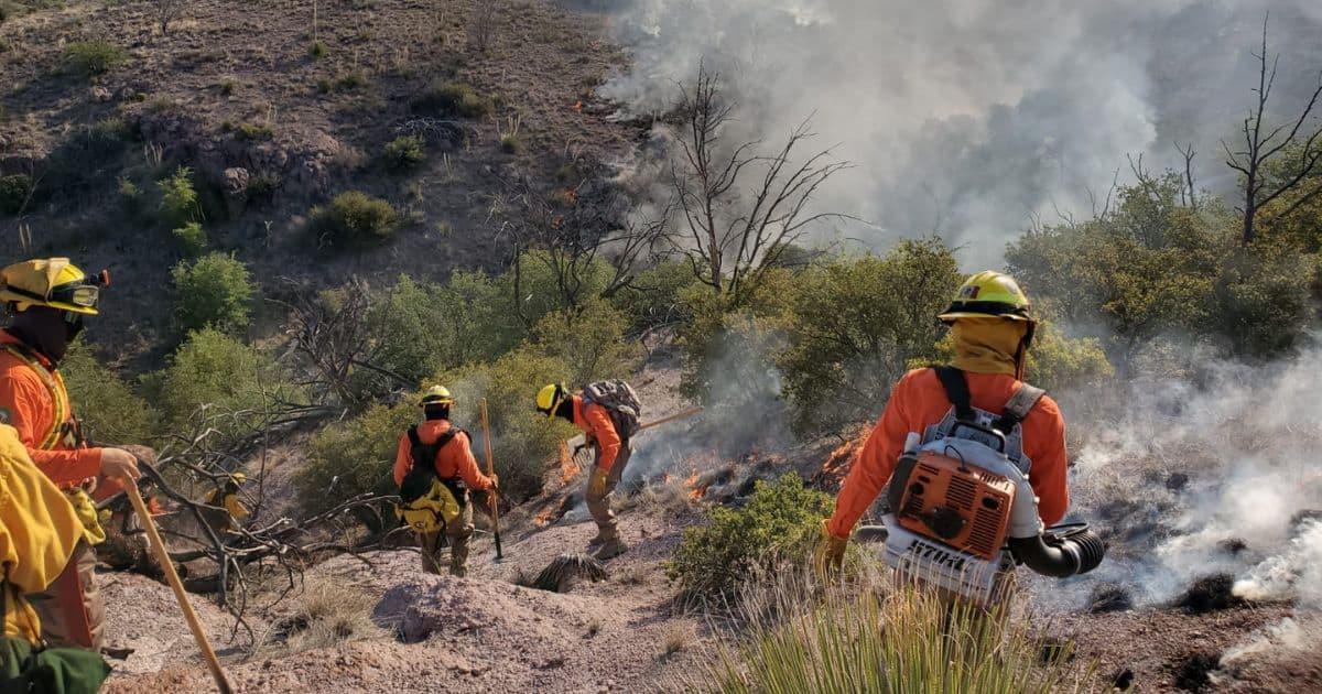 Combaten incendio forestal cerca de la frontera con Arizona