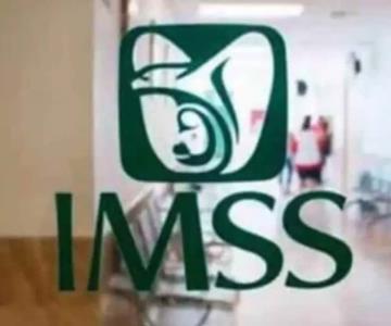 Pasos para que trabajadores independientes puedan afiliarse al IMSS