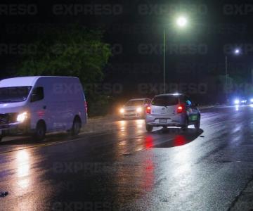 Protección Civil reporta 6 árboles caídos tras lluvia en Hermosillo