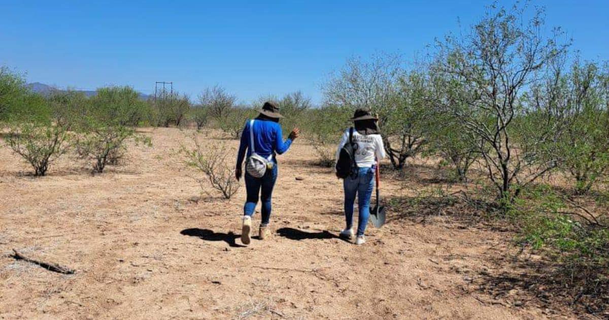 Guerreras Buscadoras encuentran restos humanos en ejido de Empalme