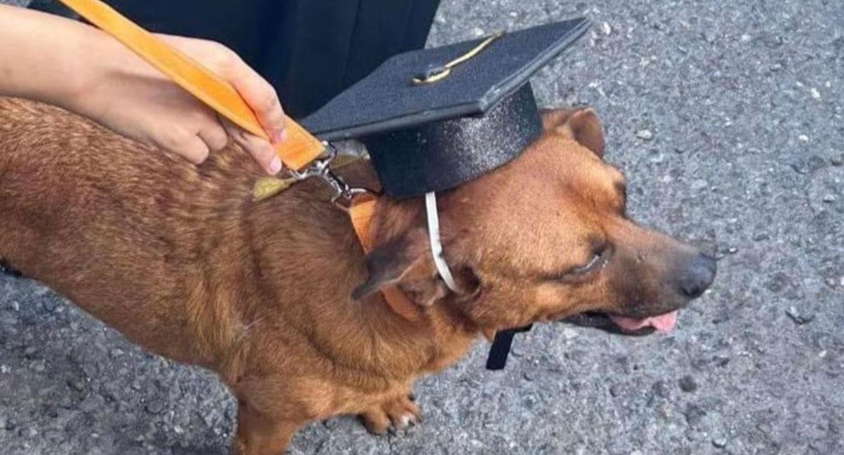 Perrito callejero se gradúa junto a estudiantes en Saltillo