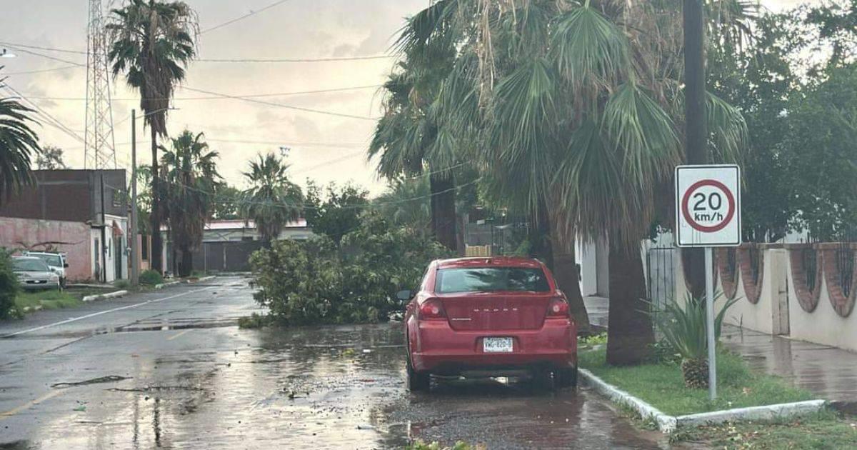 Fuertes lluvias en Santa Ana causan daños en 19 viviendas: Protección Civil