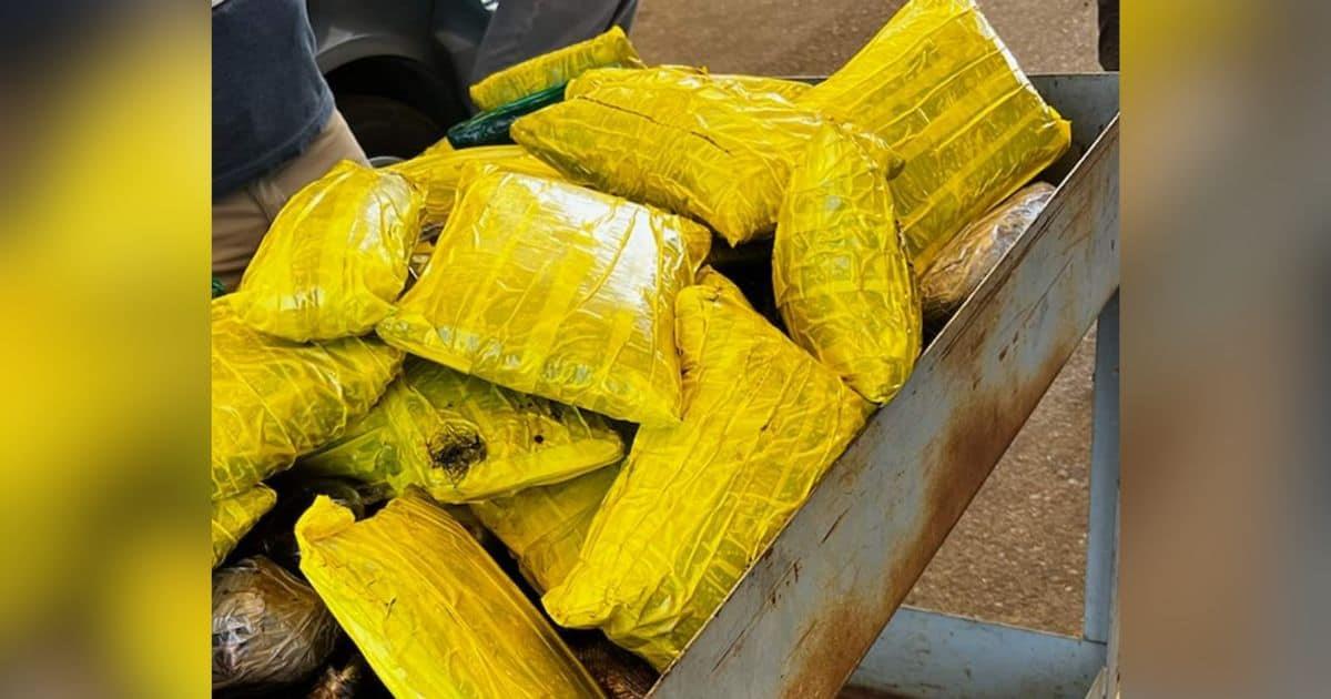 Aseguran más de 100 libras en drogas en la frontera de Nogales