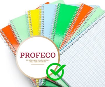 Estos son los mejores cuadernos y libretas en el mercado, según Profeco