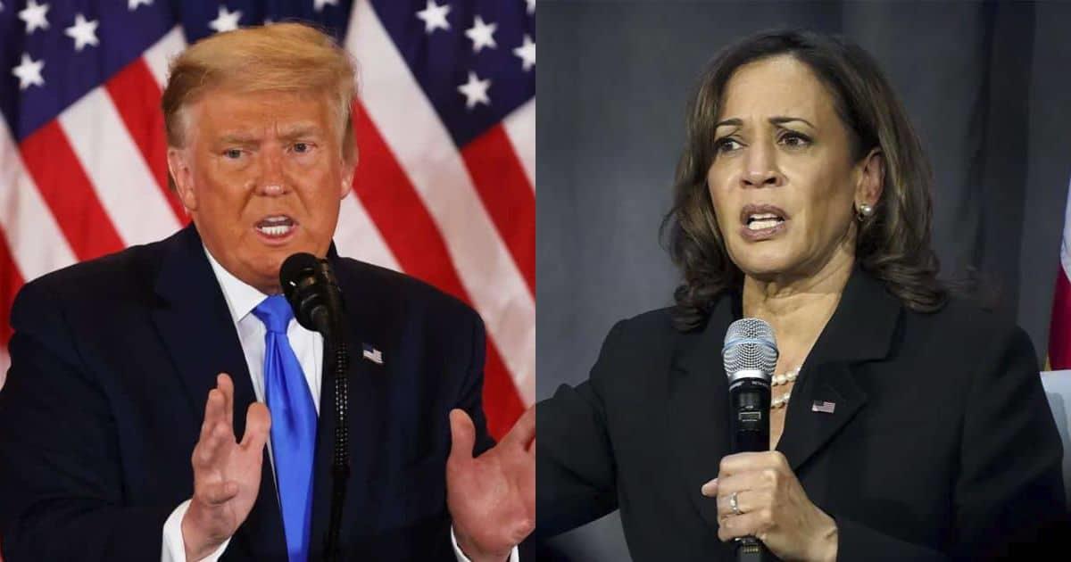 Kamala Harris es tonta y perversa, una mala combinación: Donald Trump