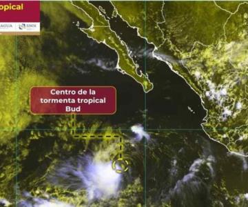 ¿Tormenta Tropical Bud dejará lluvias a Sonora?