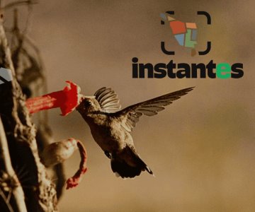 Llega ‘Instantes’, el concurso de fotografía de e Media