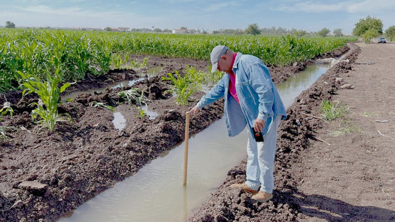 Escasez de agua en Sonora pone en riesgo la producción agrícola