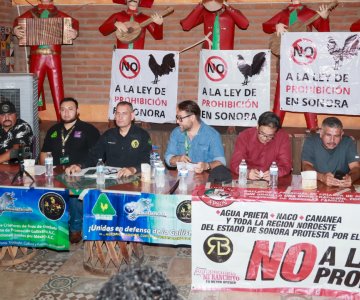 Galleros de Sonora se pronuncian contra la prohibición de peleas de gallos