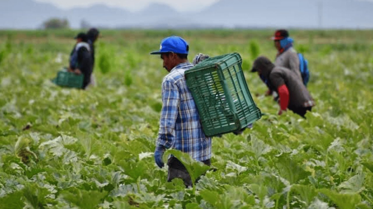 Más de 6 mil trabajadores impulsarán producción en el valle Guaymas-Empalme