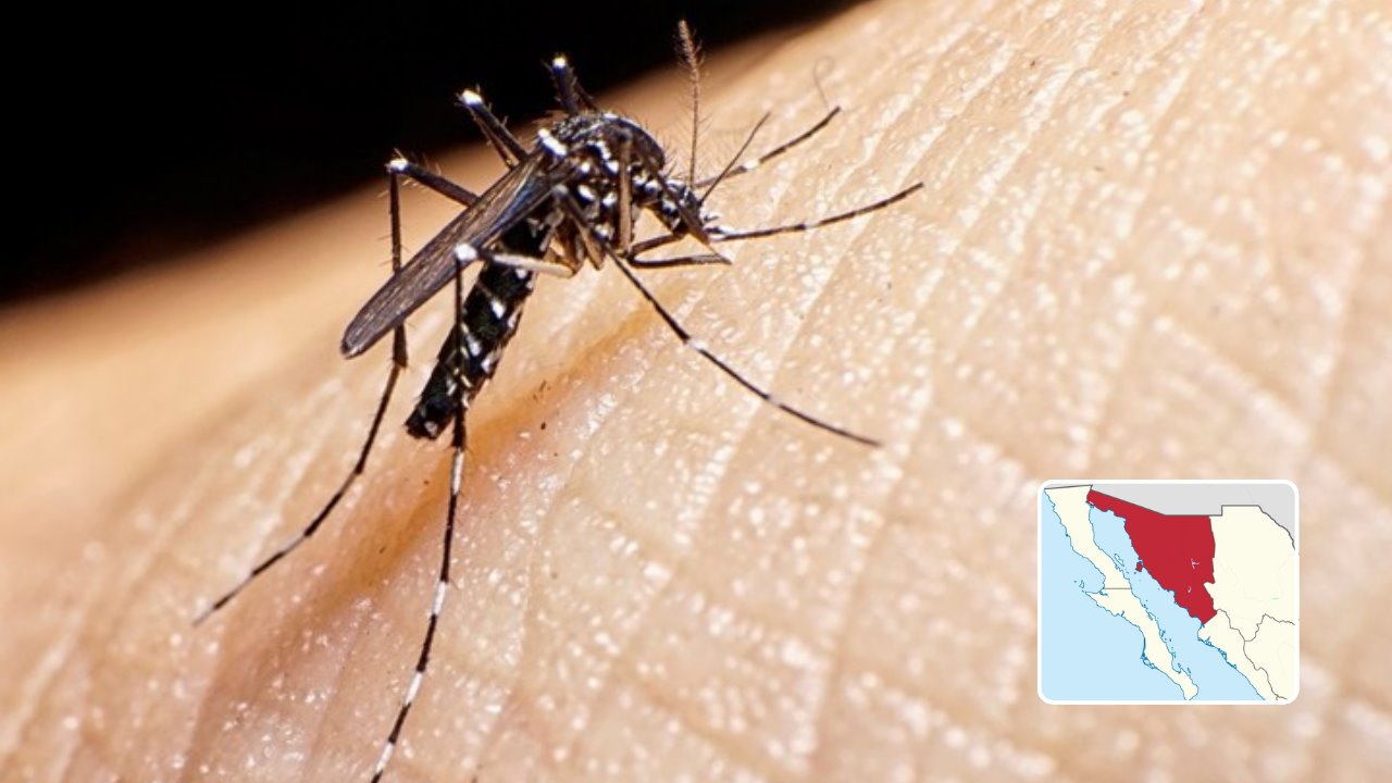 Dengue se extiende a dos nuevos municipios en Sonora