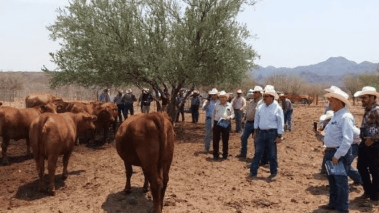 UGRS confirma que aumentó la seguridad en zona rural