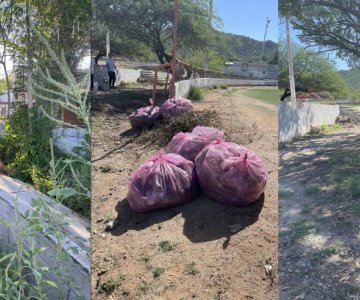 Invitan a jornada de limpieza en parque Solidaridad