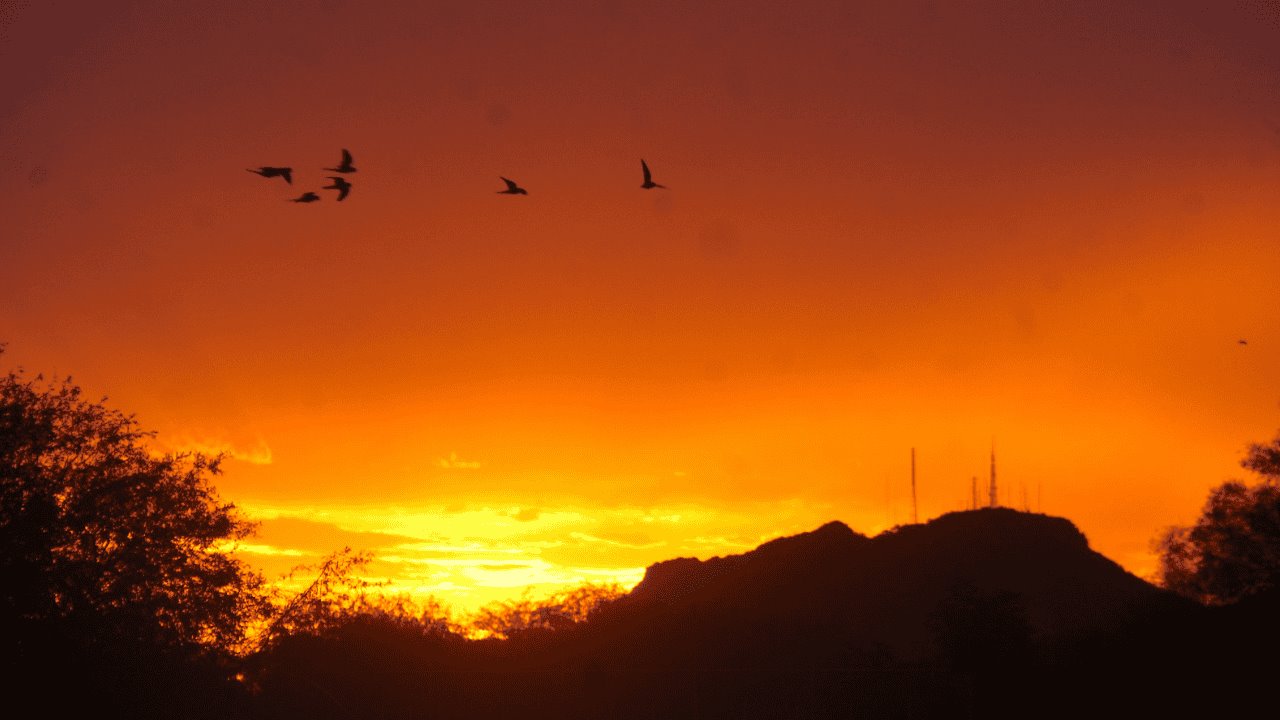 ¡Llegó el Otoño! Equinoccio y sus efectos en Sonora