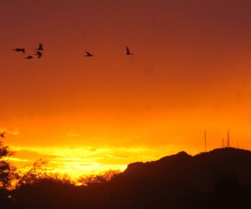 ¡Llegó el Otoño! Equinoccio y sus efectos en Sonora