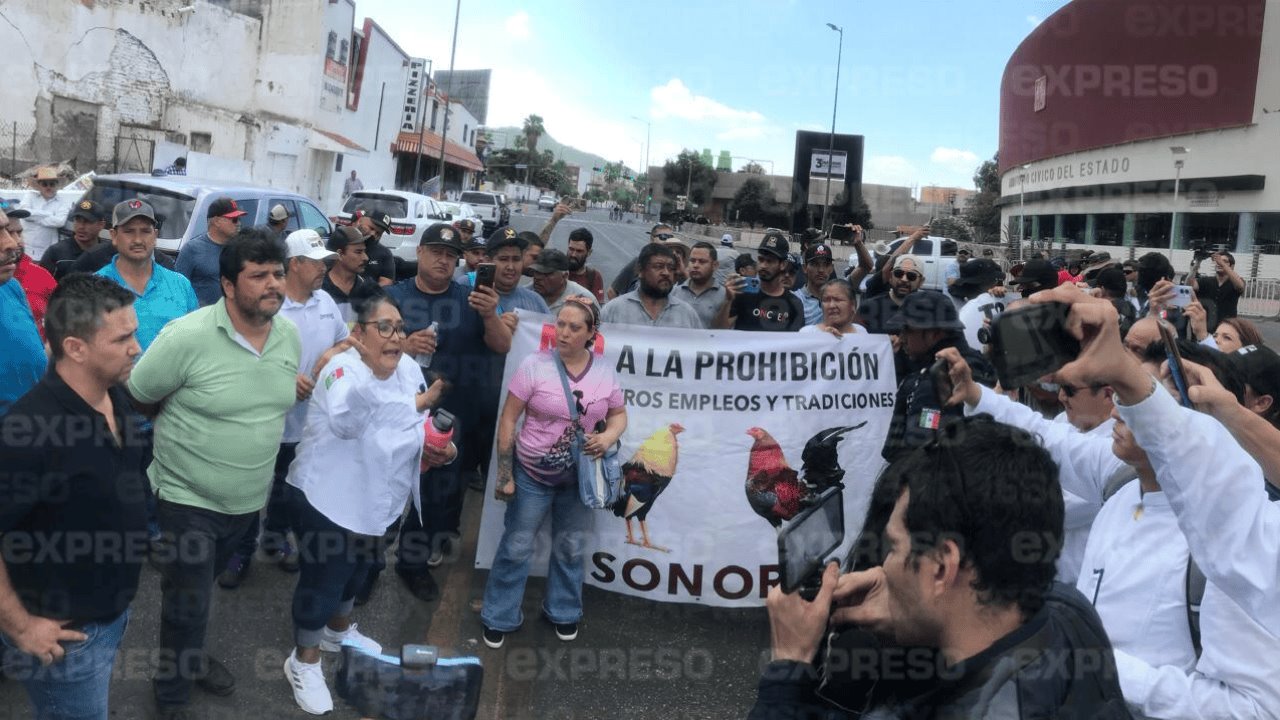 Manifestación contra Ley de Protección Animal afectará tráfico en Hermosillo