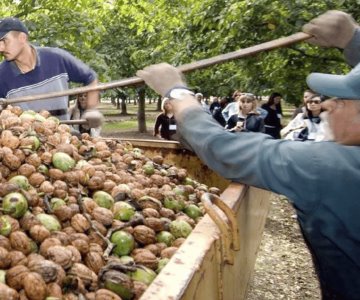 Sequía obliga a agricultores a trabajar en el norte de Sonora