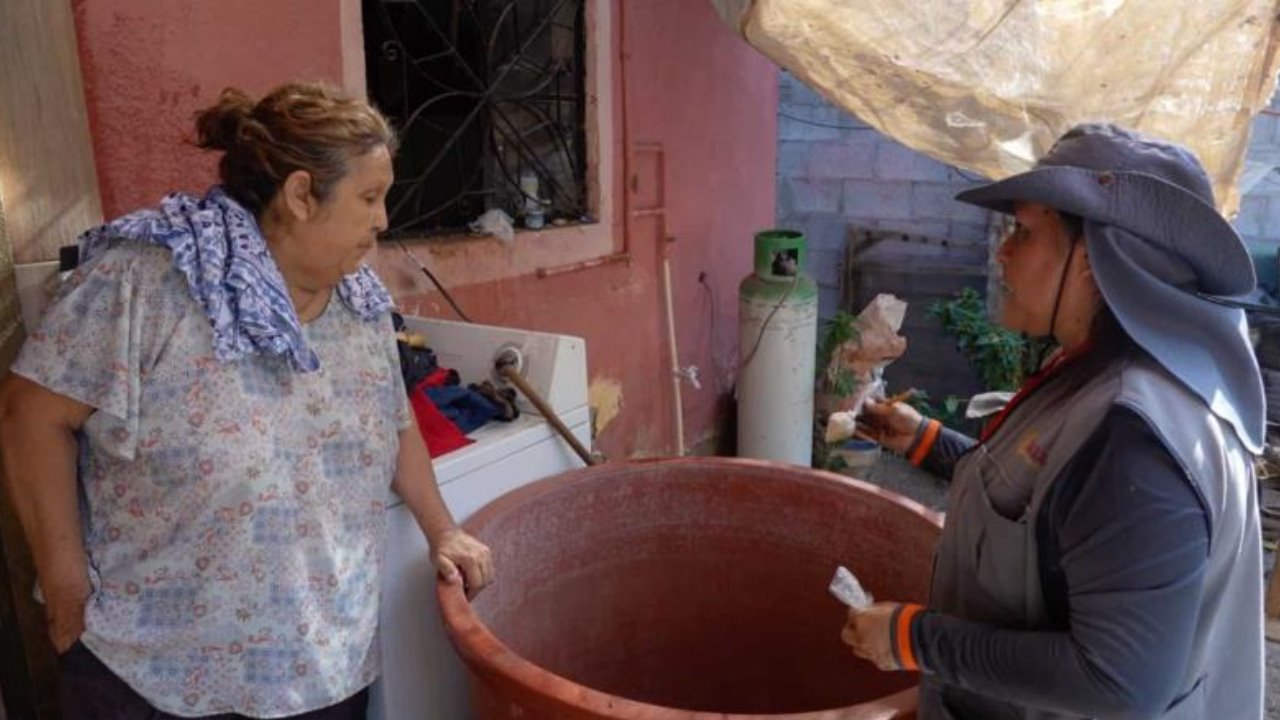 Sonora, penúltimo lugar a nivel nacional en dengue