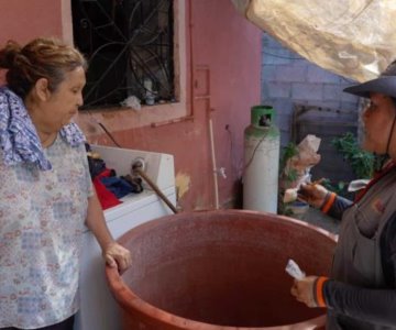 Sonora, penúltimo lugar a nivel nacional en dengue