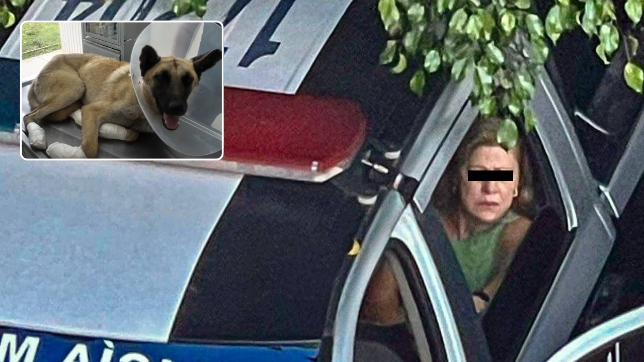 Captan a mujer arrastrando a un perro con su camioneta; es detenida