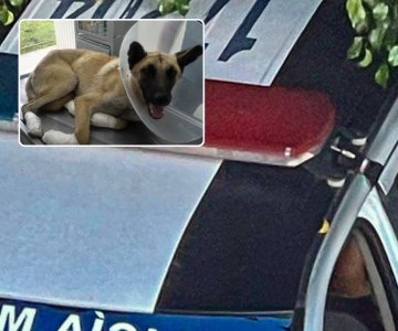 Captan a mujer arrastrando a un perro con su camioneta; es detenida