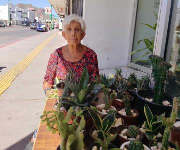 A sus 77 años, María cultiva plantas en su jardín para tener un ingreso