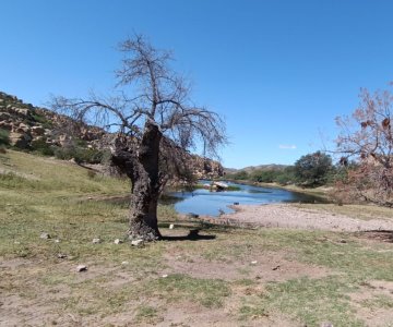 Verano y altas temperaturas afectan abasto de agua en Nogales: Oomapas