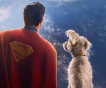 James Gunn revela primera foto de Krypto en Superman: Legacy