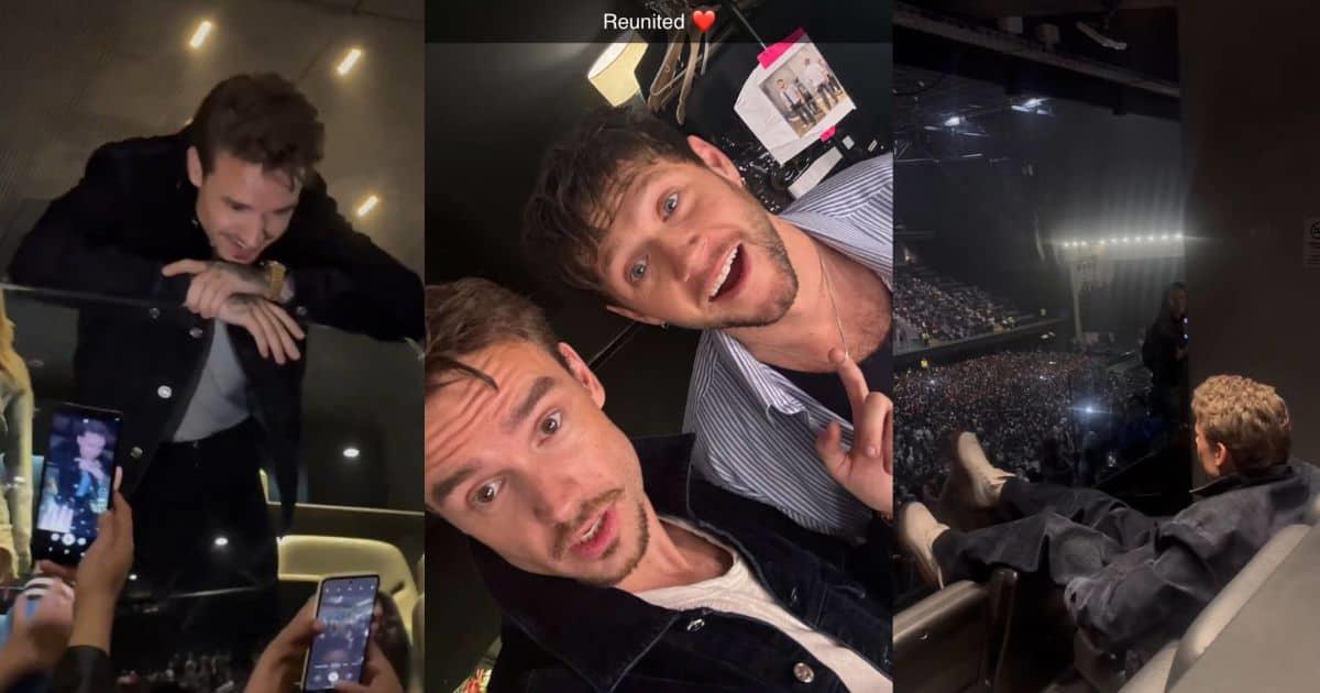 Liam Payne se encontró con Niall Horan en concierto días antes de su muerte