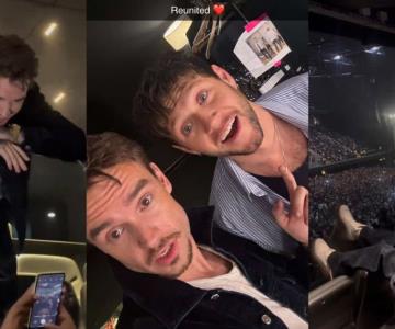 Liam Payne se encontró con Niall Horan en concierto días antes de su muerte