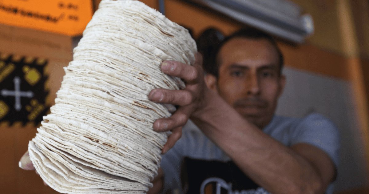 Gobierno busca bajar precio de la tortilla un 10% con acuerdo nacional