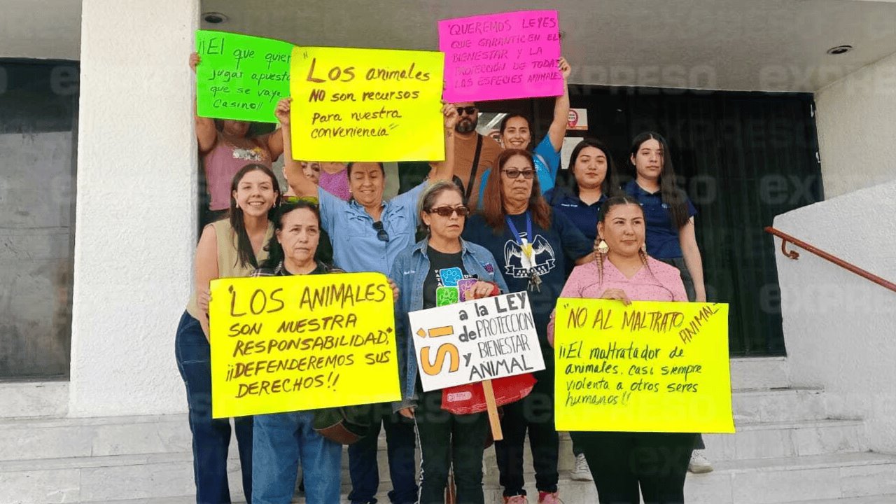 Convocan a marcha a favor de la Ley de Protección y Bienestar Animal